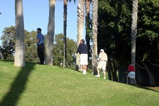 Enlarge photo 172