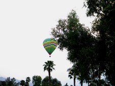 Enlarge photo 21