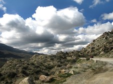 Enlarge photo 32