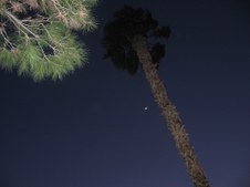 Enlarge photo 38