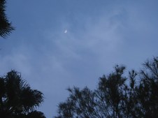 Enlarge photo 39