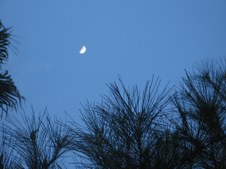 Enlarge photo 40