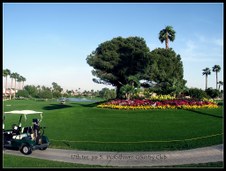 Enlarge photo 34