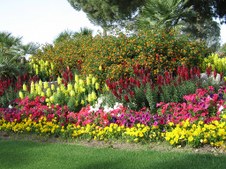 Enlarge photo 35