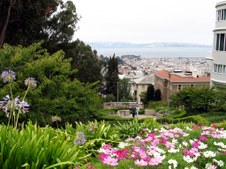 Enlarge photo 27