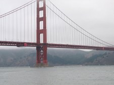 Enlarge photo 40