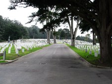 Enlarge photo 42