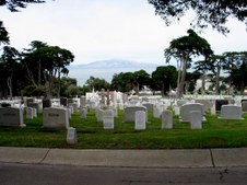 Enlarge photo 44