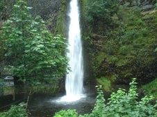 Enlarge photo 61