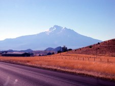 Enlarge photo 78