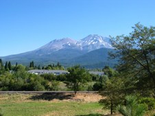 Enlarge photo 80