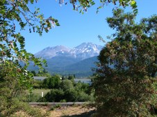 Enlarge photo 81