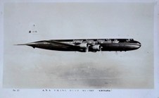 Enlarge photo 42