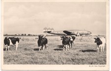 Enlarge photo 54