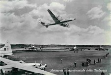 Enlarge photo 193