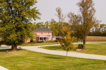 Enlarge photo 52