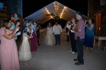 Enlarge photo 515