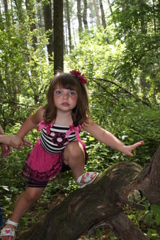 Enlarge photo 53
