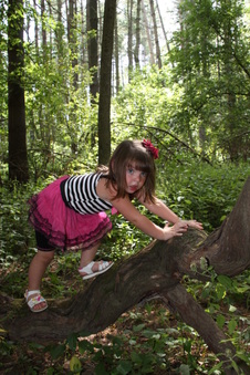 Enlarge photo 58