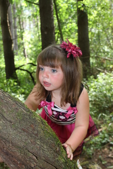 Enlarge photo 62