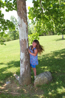 Enlarge photo 83