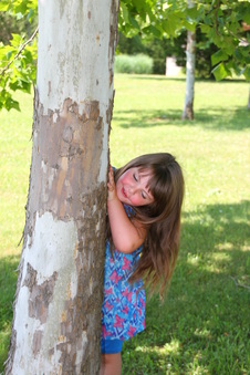 Enlarge photo 84