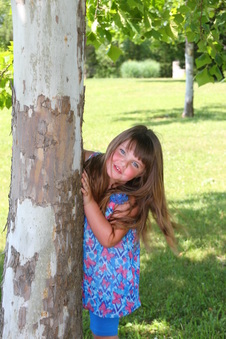 Enlarge photo 85