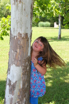 Enlarge photo 86