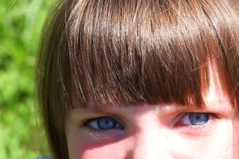 Enlarge photo 154