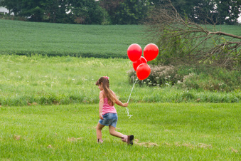 Enlarge photo 52