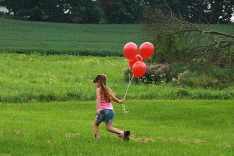 Enlarge photo 54