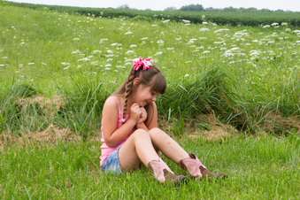 Enlarge photo 83