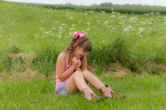 Enlarge photo 85