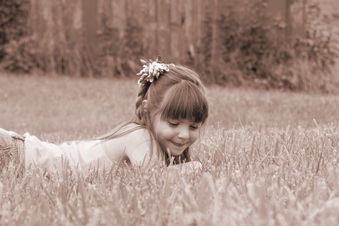 Enlarge photo 127