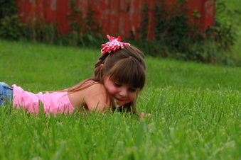 Enlarge photo 135