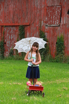 Enlarge photo 173
