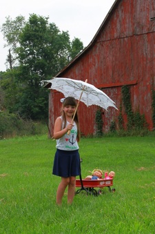 Enlarge photo 184