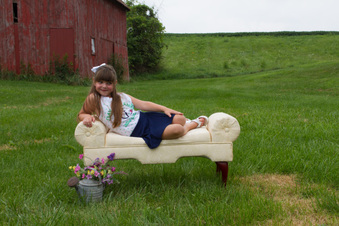 Enlarge photo 238
