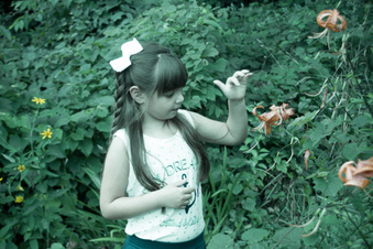 Enlarge photo 272