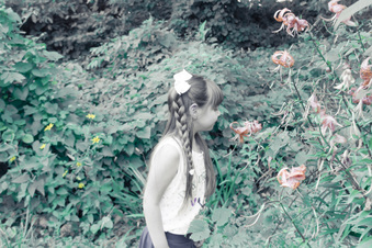 Enlarge photo 274