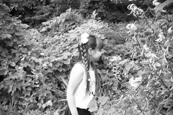 Enlarge photo 275