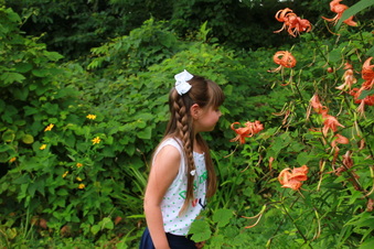 Enlarge photo 276