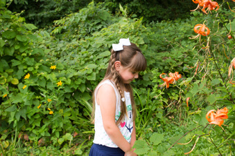Enlarge photo 277