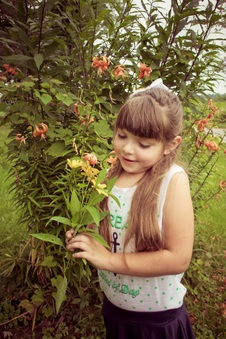 Enlarge photo 283