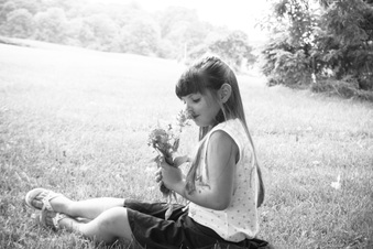 Enlarge photo 292