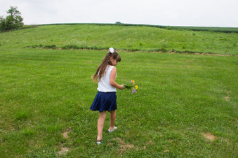 Enlarge photo 324