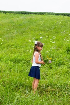 Enlarge photo 335
