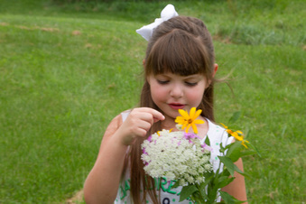 Enlarge photo 341