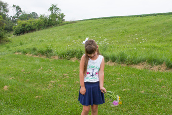 Enlarge photo 344