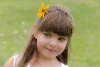 Enlarge photo 372